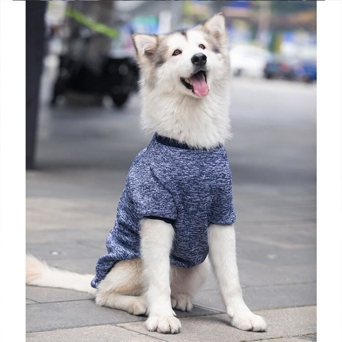Manteau bouledogue store français