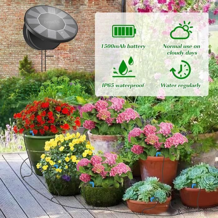 Abreuvoirs automatiques pour plantes Irrigation go... - Grandado