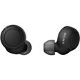 Sony WF-C500 - Ecouteurs bluetooth sans fil - 20h autonomie - Assistants vocaux - Micro intégré appels mains libres - IPX4 - Noir-0