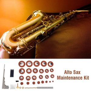 Dilwe Kit Outils Réparation Saxophone Alto - Ensemble Accessoires Entretien Instrument Musique