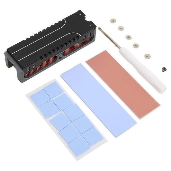 Dissipateur Thermique IcyBox Pour SSD M.2 - Refroidissement Actif Et Passif Avec Ventilateur