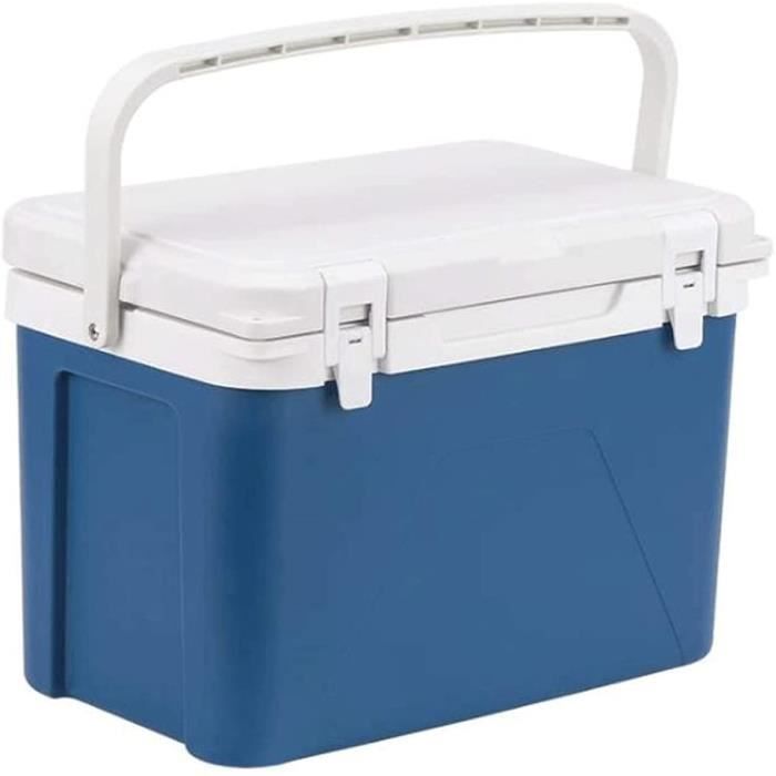 Mini Réfrigérateur 12L Chaud Froid Portable Électrique Glacière Compresseur Réfrigérateur Congélateur pour Voiture, Bateau Et 256