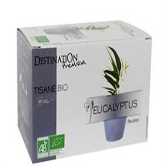 Destination Org Infusion Eucalyptus 20