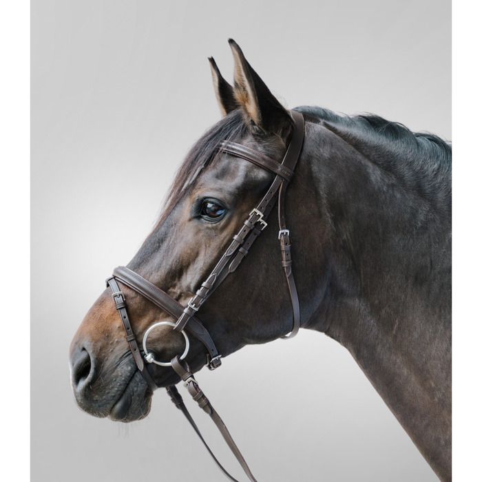 Comparer les prix de Bridon équitation muserolle combinée Star Lifestyle - Marron - Cob