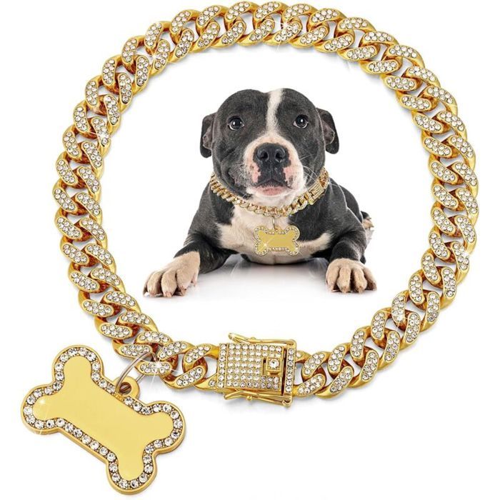 Collier pour chien avec laisse - MICH - Diamants dorés - Médaille didentification - Chaîne en acier inoxydable - Strass