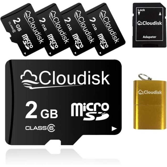 Cloudisk Lot de 5 Cartes Micro SD 2 Go avec Lecteur de Carte Adaptateur  microSD Vente en Vrac de Carte memoire (Lot de 5 2 Go) - Cdiscount Appareil  Photo