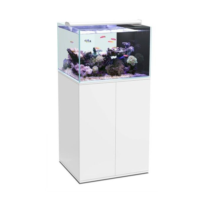 Aquarium Eau De Mer + Meuble Ultra Clear 100 Sw Blanc