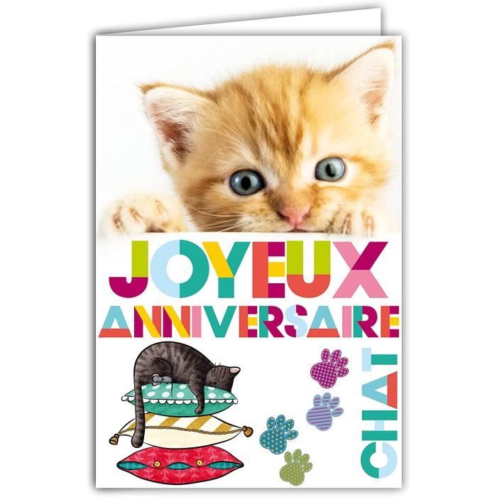 Afie Carte Joyeux Anniversaire Chaton Pattes De Chat Animaux Cocooning Confortable Avec Enveloppe Blanche Format 12x17 134 Cdiscount Beaux Arts Et Loisirs Creatifs