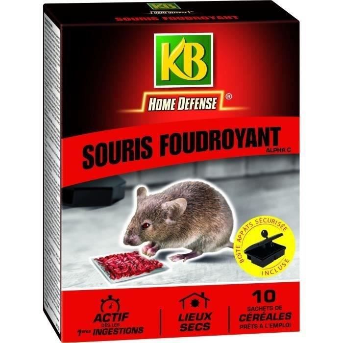 Souris foudroyant 10g + boite appat - Cdiscount Jardin