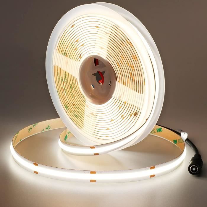 Bande LED Néon 10 M, Blanc Froid 6000K, IP67 étanche | Gainage Silicone Souple, Variateur Inclus, Alimentation 24V | Pour Décoration Intérieur/extérieur, DIY
