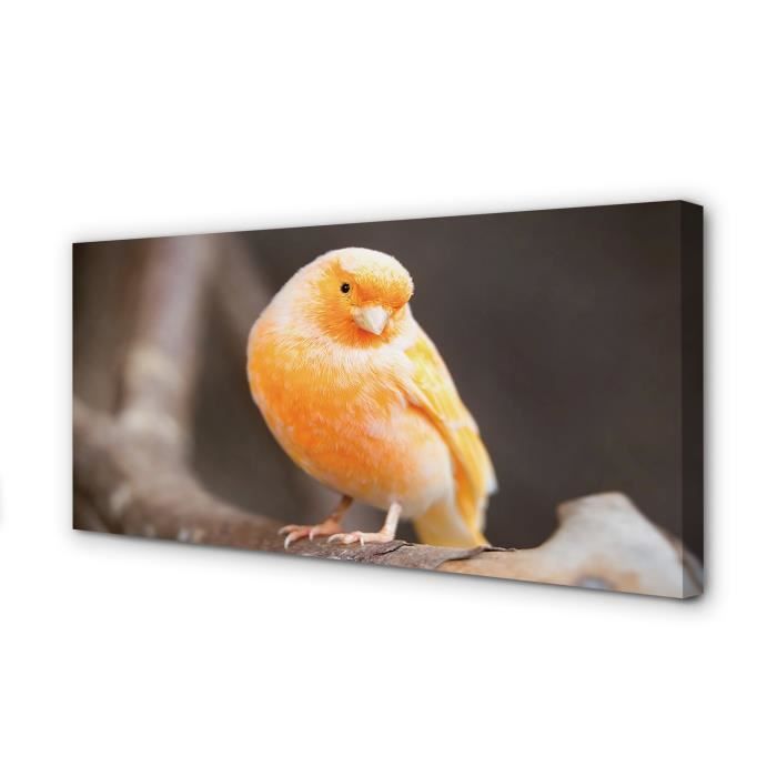 Tulup Impression Sur Verre100x50 Cm Image Tableau Photo Décorative Panoramique Pour La Cuisine Et Le Salon - Spectacles Et Architecture - Les Rues De France - Multicolore