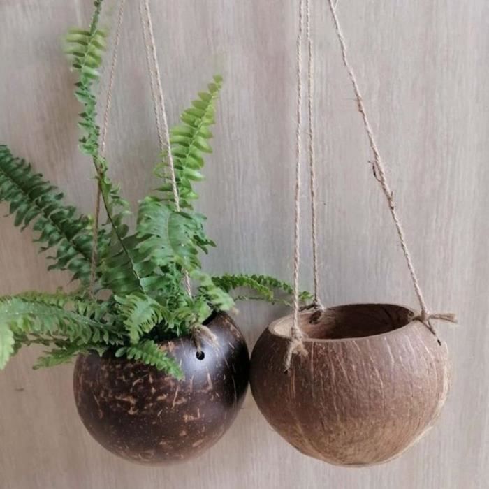 Pot de plante d'intérieur suspendu en noix de coco