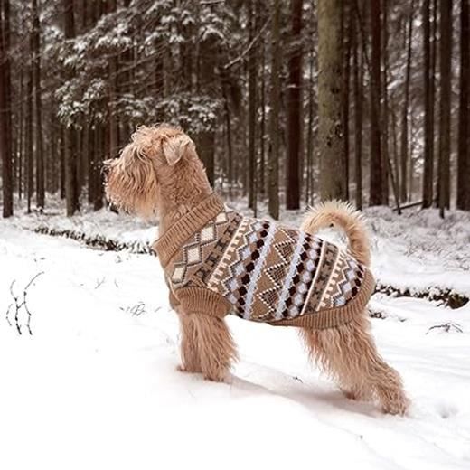 Manteau Pull Pour Chien Chihuahua Chihuahua Femelle Vetement Pour