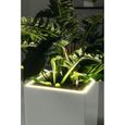 Pot de fleur LECHUZA Canto Premium Cube 40 - kit complet LED, argent métallisé-4