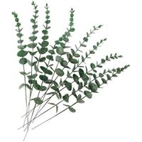 Lot de 10 feuilles d'eucalyptus artificielles - Tige réaliste - Pour bouquet de mariage, décoration d'intérieur   (gris vert)