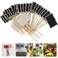 Lot 30 Étiquettes Jardin COYUN – Ardoise Bois Imperméable – Marquage Plantes, Graines, Herbes & Fleurs