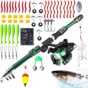 66Pcs Plomb de Pêche, Poids de Pêche à la Carpe en Mer, 10 Tailles
