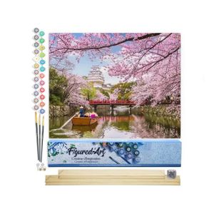 Peinture Par Numéros TISHIRON – Kit Fleurs Sauvages 40x50 Cm, Toile Adulte, Artisanat Relaxant Sans Cadre