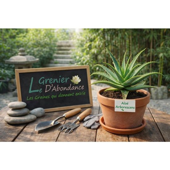 Lot De 7 Sachets Graines Tomates Anciennes - 300 Graines, Variétés Colorées (Noire De Crimée, Green Zebra...)