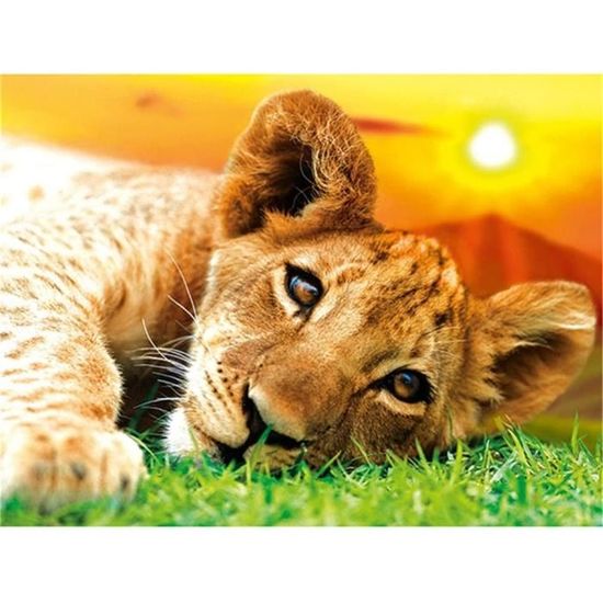 Kit De Broderie Diamant Lion Roi 30x40 Cm - Peinture Diamant 5D Ronde Complète Avec Stylo, Plateau Et Argile - Loisir Créatif Anti-stress Et Décoration Murale