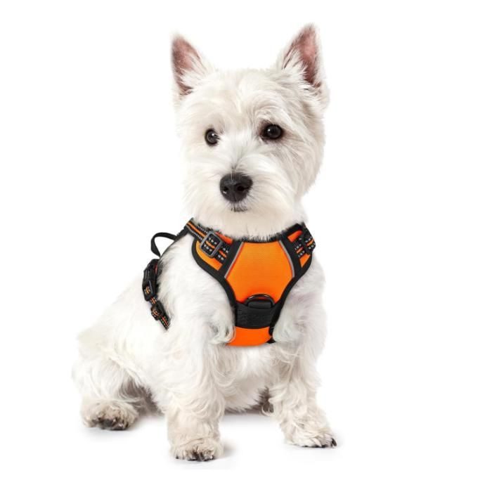 Meilleurs prix pour Harnais Chien Anti Traction Orange XS Harnais Chien avec Poignée Facile à Mettre Gilet Réglable Réfléchissant pour Petit Chien