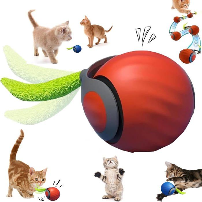 Comparer les prix de Jouet pour chat 2025 avec queue rapide, ajustement de vitesse à 2 niveaux, balle interactive avec mouvement automatique - Orange