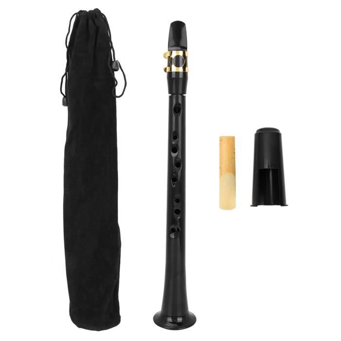 ZJCHAO Mini Sax Saxophone de poche portable Saxophone de pratique avec sac de roseaux Instrument à vent en bois Sib Tune