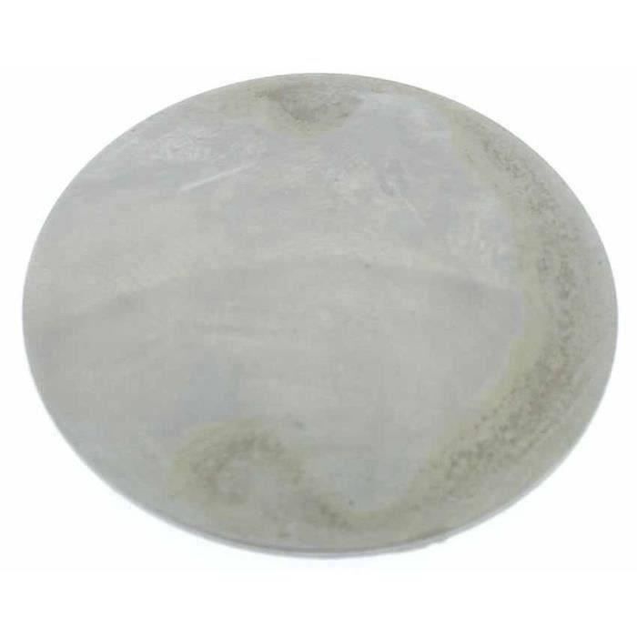 Pastille carburateur à sertir adaptable BRIGGS & STRATTON pour modèles 146000, 170000, 190000, 22000