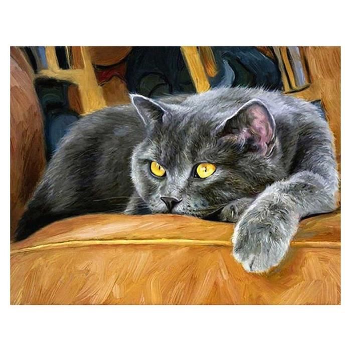Diamant Peinture Chat Diamant Broderie Animal Strass Photos Plein Carre Couture Kit D Artisanat Diy Cdiscount Maison