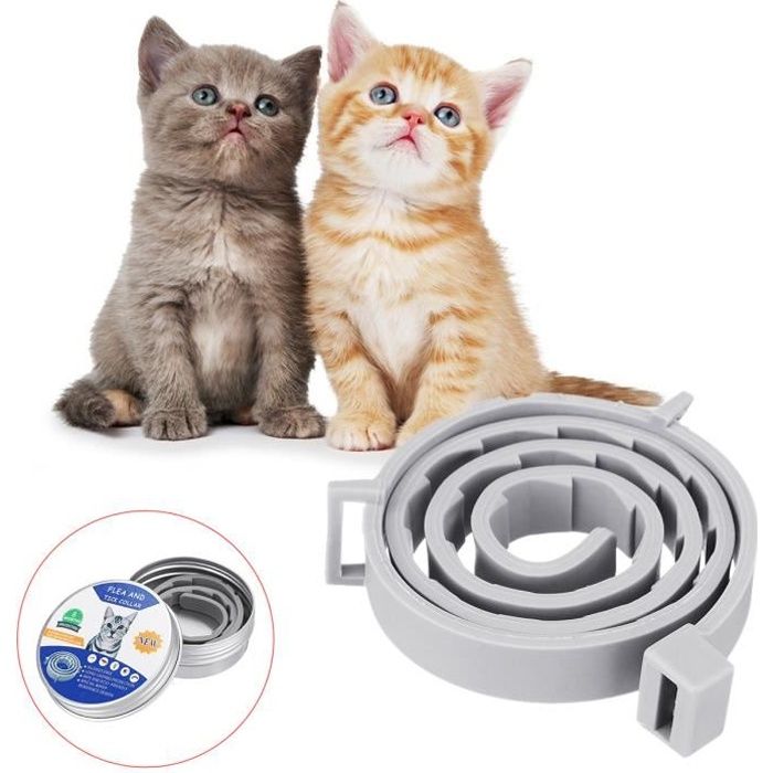 Collier Antiparasitaire Collier Anti Puces Pour Chat Cdiscount