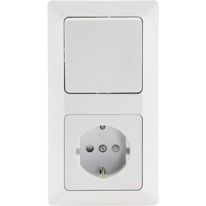 Plaque De Chaîne Campagnolo Chorus 10 Vitesses – 52 Dents – BCD 135 – Neuf En Boîte – Pour Vélo De Route