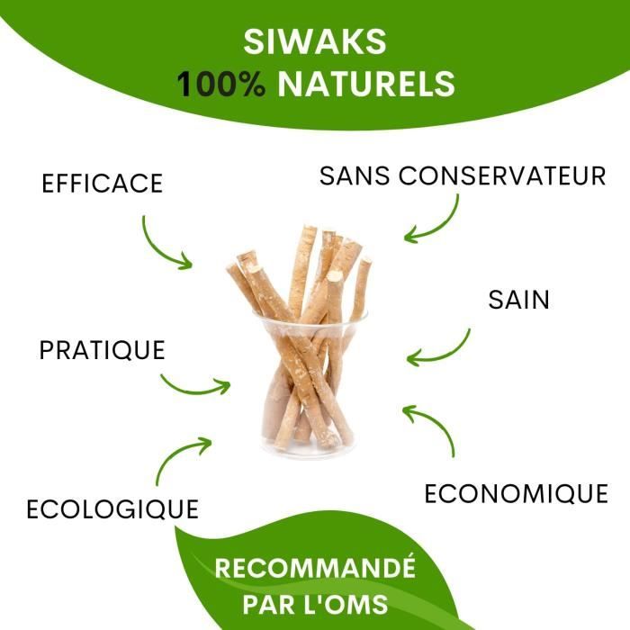 Bâton Siwak - Brosse à dents naturelle