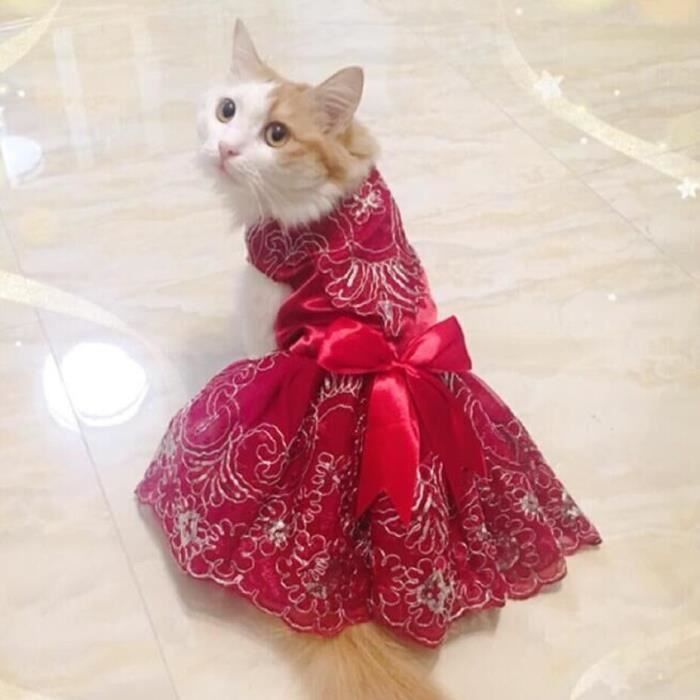 Robe de mariée cheap pour chat