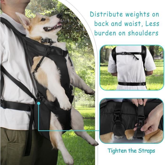 Porte bébé pour chien online