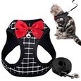 AS12205-Harnais pour animaux de compagnie plomb de chatons doux réglables Chiot petit chien gilet chat harnais noir m-3