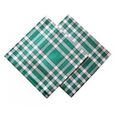 LINANDELLE - Lot de 2 grandes serviettes de table coton 57 fils carreaux vichy normand NELLY - Vert-0