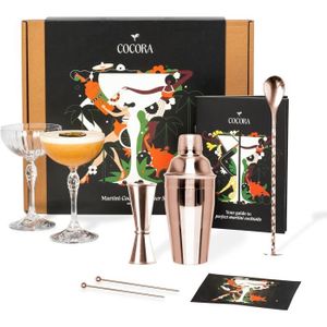 SHAKER - SET COCKTAIL  Set Martini | Set à Cocktail de 9 pièces | Cocktai