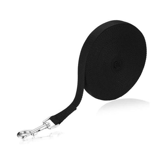 Laisse Rétractable Pour Chien 5 M - Nylon Résistant, Verrouillage Rapide - Pour Chiens Jusqu'à 40 Kg