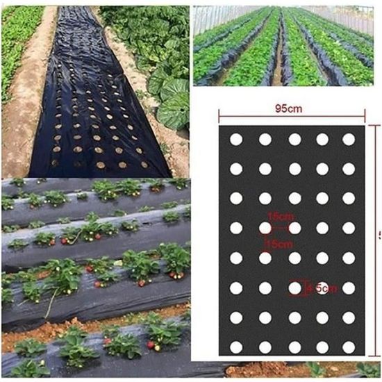 KRONLY Lot 3 Plaques Semis 72 Trous Avec Soucoupes – Plateau Culture Stable 24 Cellules – Semis Tomates Légumes