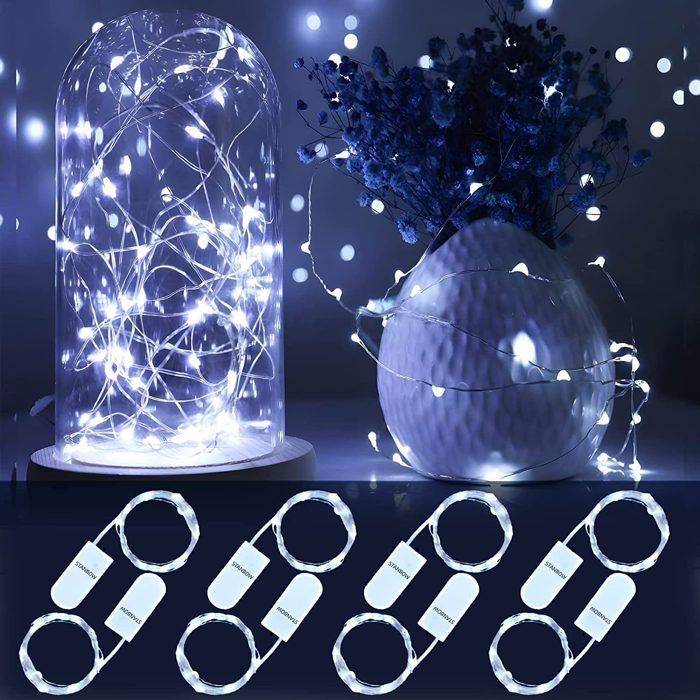 Le défilé Zadig et Voltaire automne-hiver 2020-2021