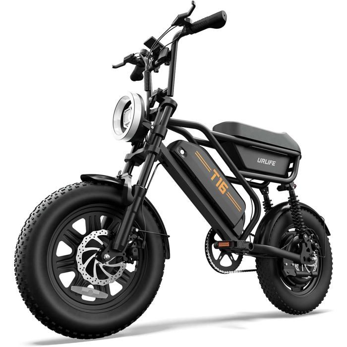 URLIFE T16 Vélo Électrique 16 x 3.0 Pneus Tout-terrain Batterie Amovible 48 V 13 Ah Moteur sans Balais 250W avec Double Suspension