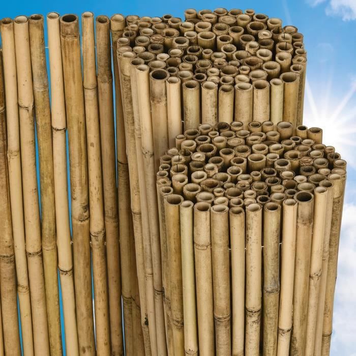 Sol Royal Canisse en Bambou SolVision B89 Fence haie Brise-Vue Brande Jardin terrasse Balcon 160x600cm Protection Regards Vent Soleil