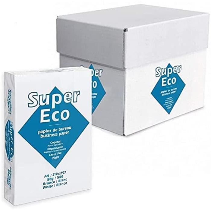 Carton de 5 Ramettes Papier Imprimante A4 Blanc 80g (5 x 500 feuilles)[6] -  Cdiscount Informatique