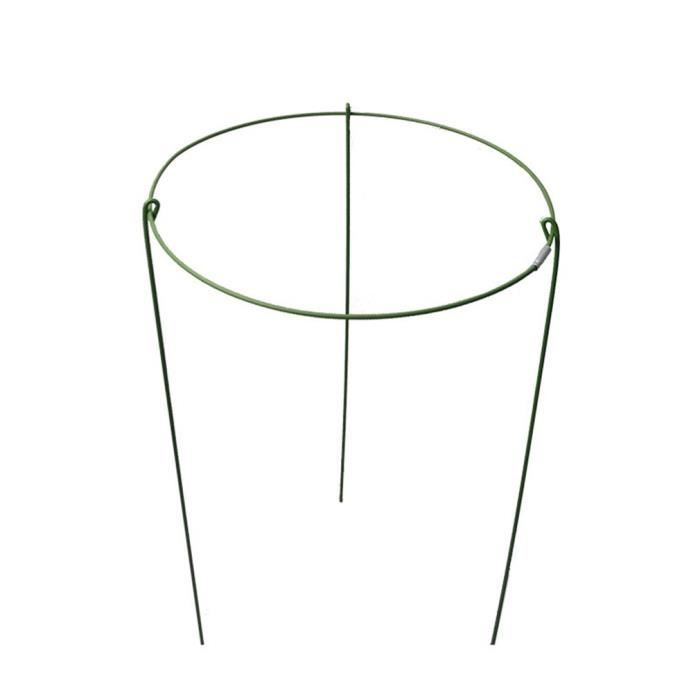 Lot De 6 Treillis Ronds Pour Plantes Grimpantes - En Métal - Pour