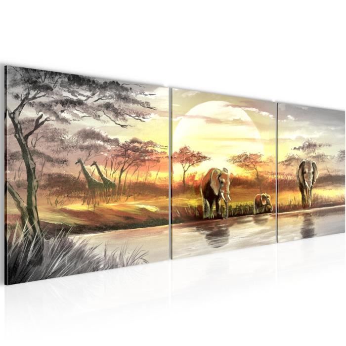 Runa art Tableau Décoration Murale Afrique Coucher de Soleil 120x40 cm