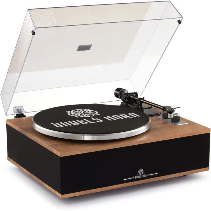 TECHNOSONIC MT-PH02 PLATINE Vinyle Radio FM AM avec haut-parleurs intégrés EUR 18,00 - FR