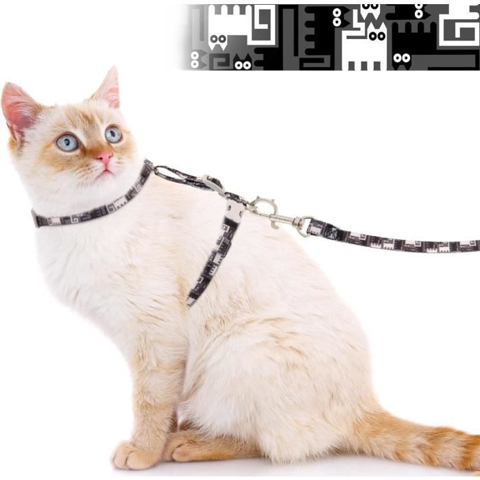 Harnais Pour Chat Avec Laisse AntiÉruption, Harnais Réglable Pour Chats Grands Et Petits