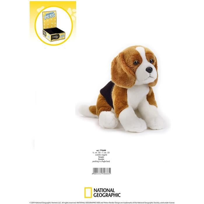Beagle peluche store