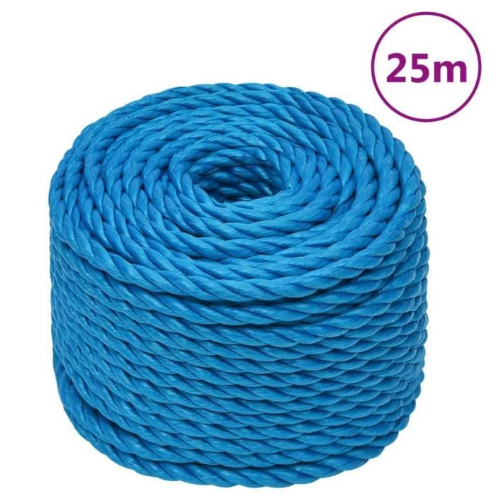 Vidaxl Corde de travail Bleu 14 mm 25 m