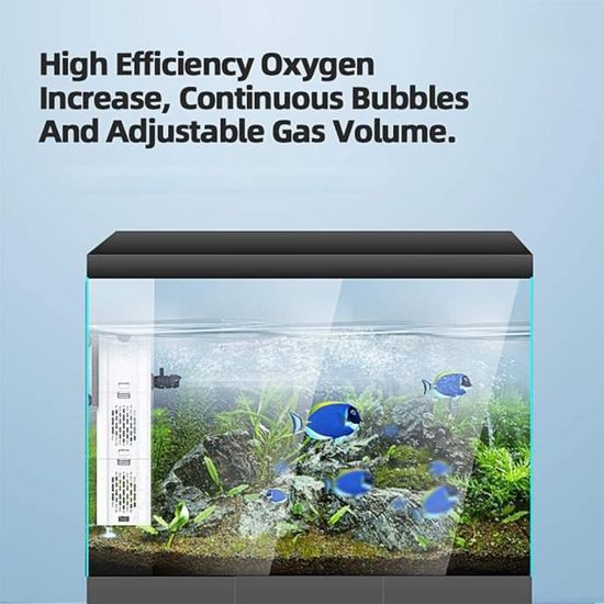 Pompes de Filtration pour Aquarium - Pompe immergée à Filtre pour Aquarium  5W, débit en oxygène Croissant - Cdiscount Jardin
